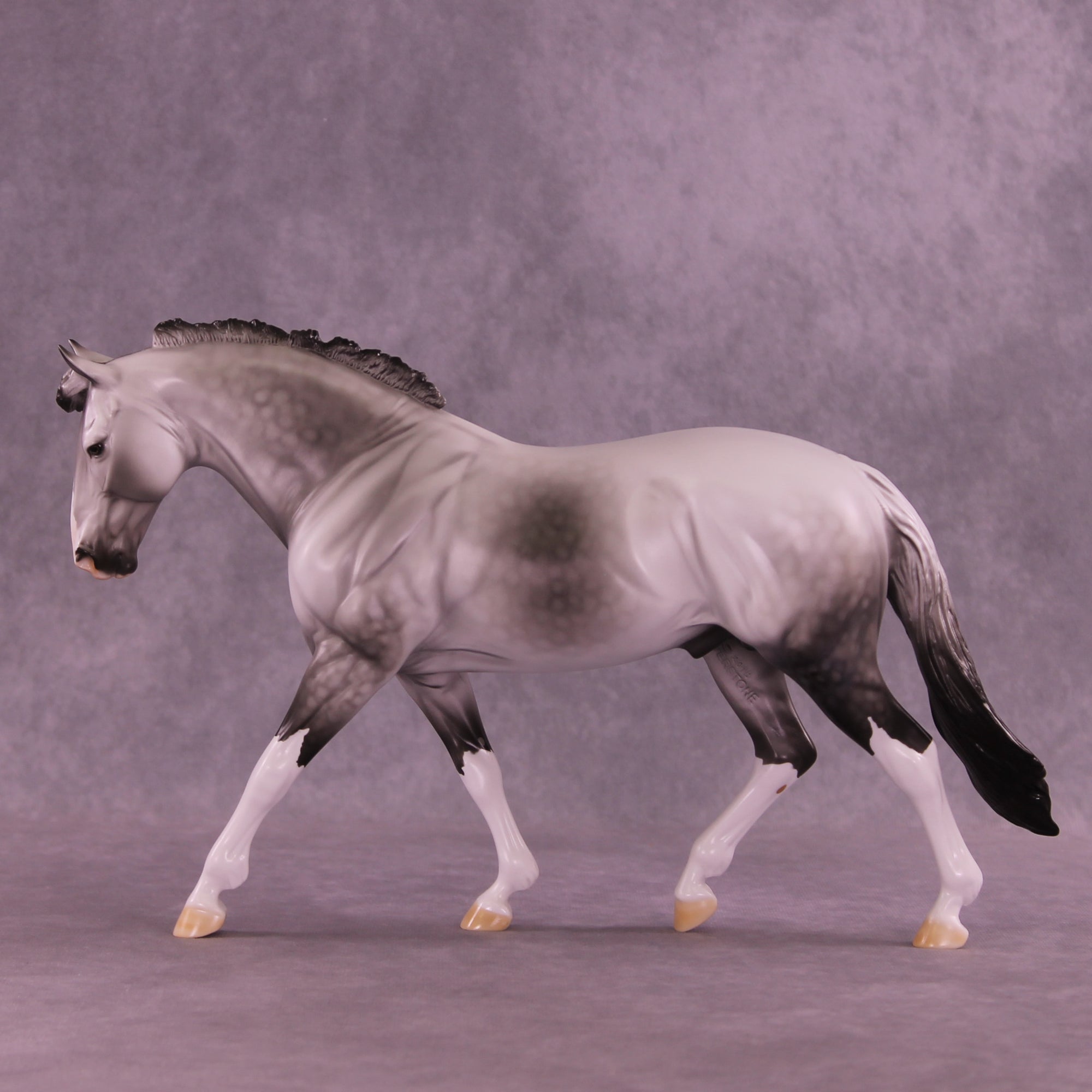 SAMPLE Tiamet LE-14 FCM Irish Draught by Dawn Quick SS0126