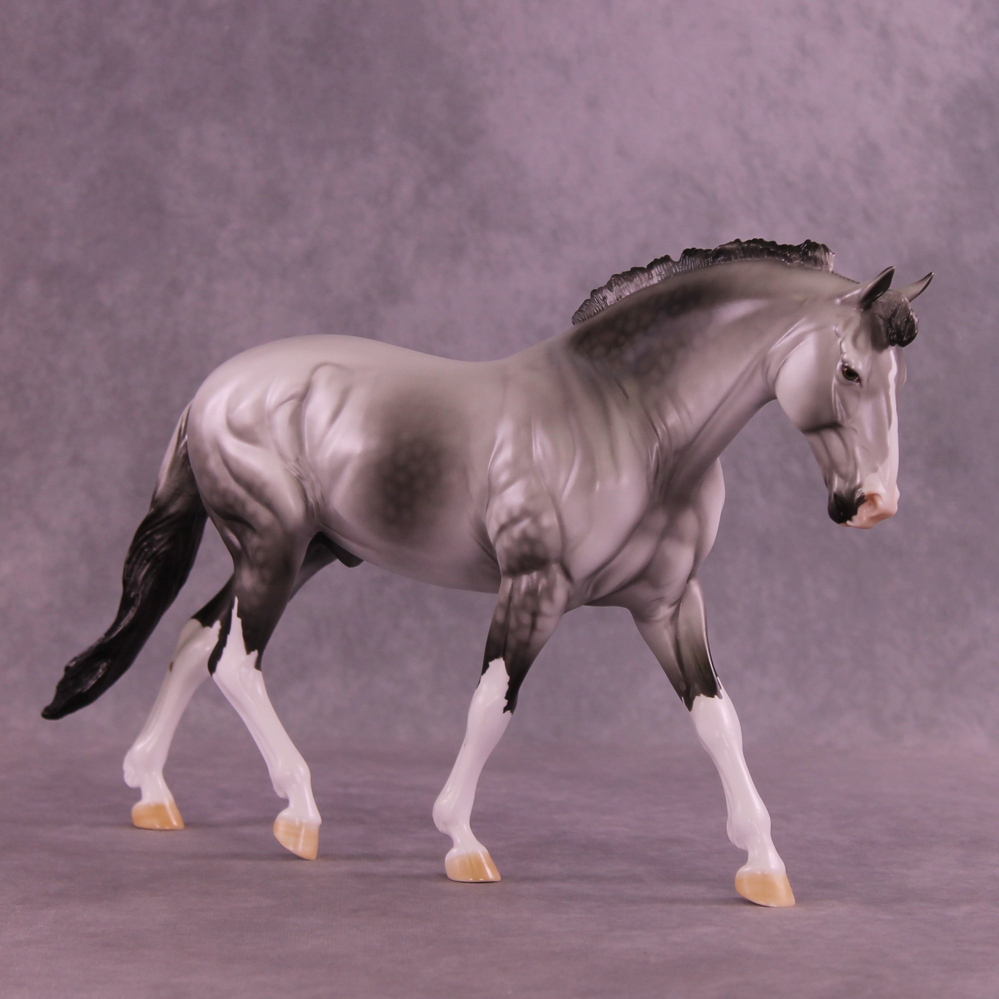 SAMPLE Tiamet LE-14 FCM Irish Draught by Dawn Quick SS0126