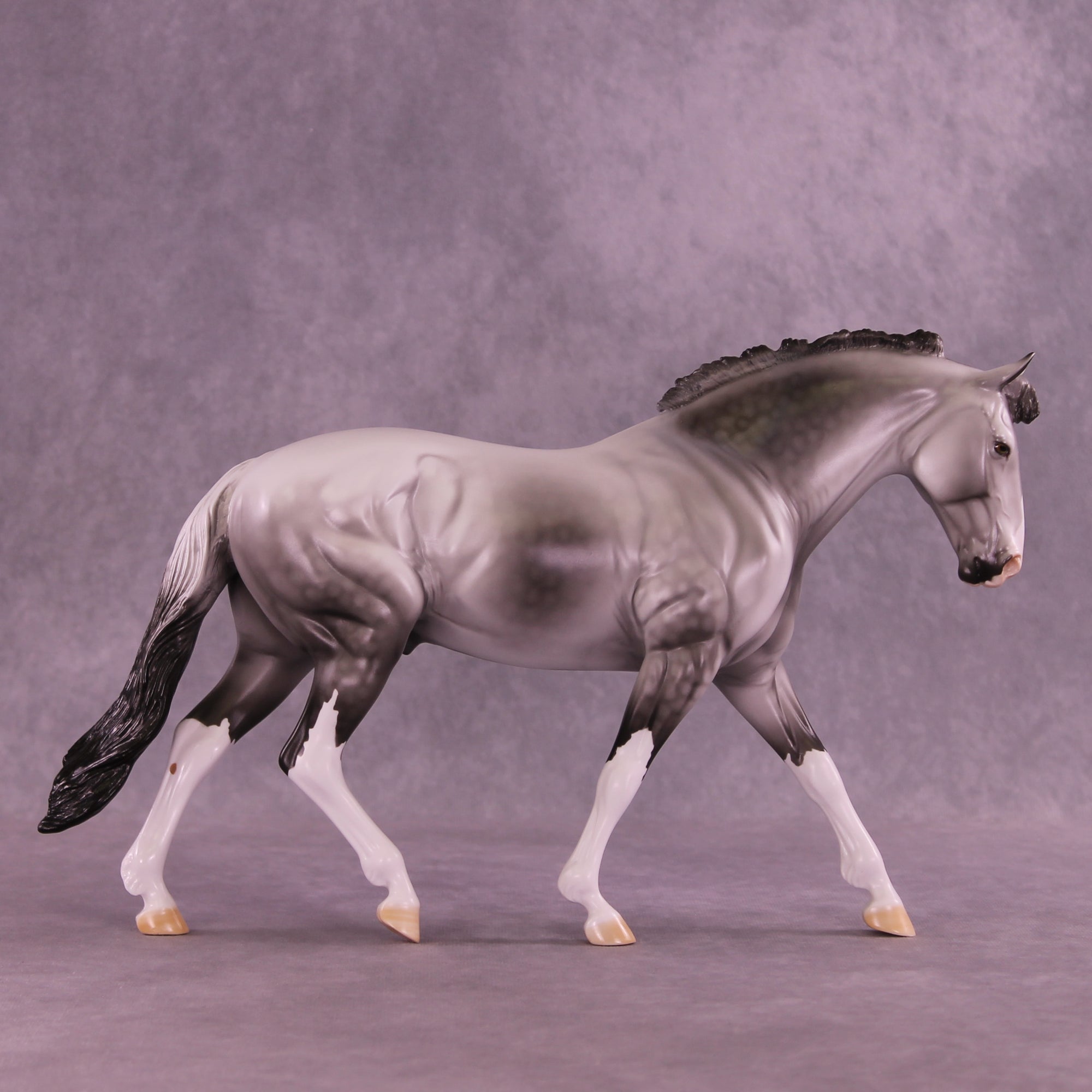 SAMPLE Tiamet LE-14 FCM Irish Draught by Dawn Quick SS0126