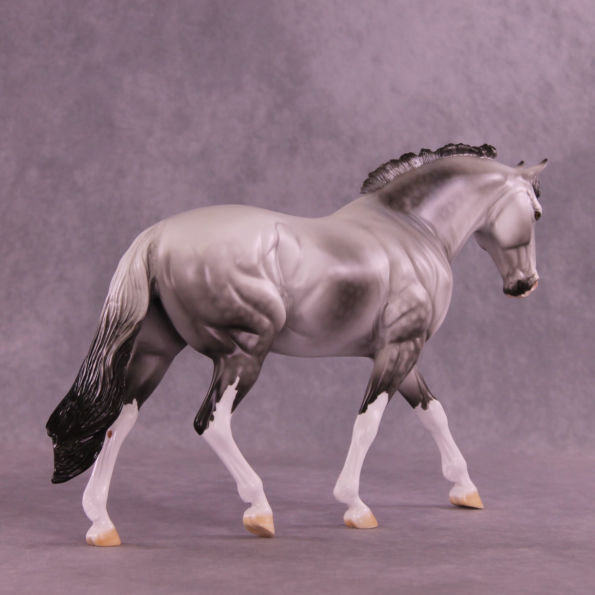 SAMPLE Tiamet LE-14 FCM Irish Draught by Dawn Quick SS0126