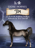 Preview: Tim LE-15 FCM Arabian Stallion by Jess Hamill MM26