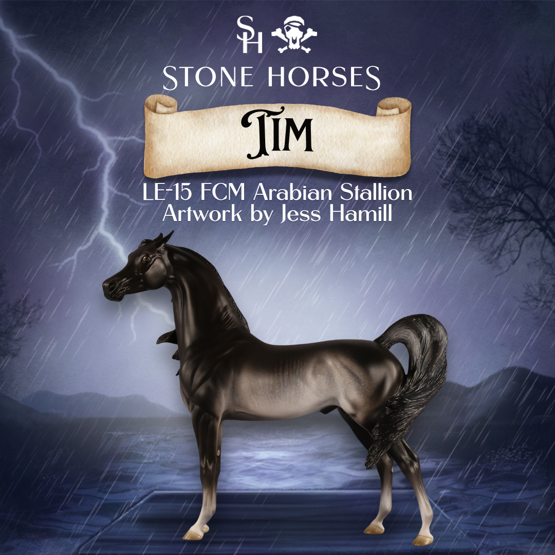 Preview: Tim LE-15 FCM Arabian Stallion by Jess Hamill MM26