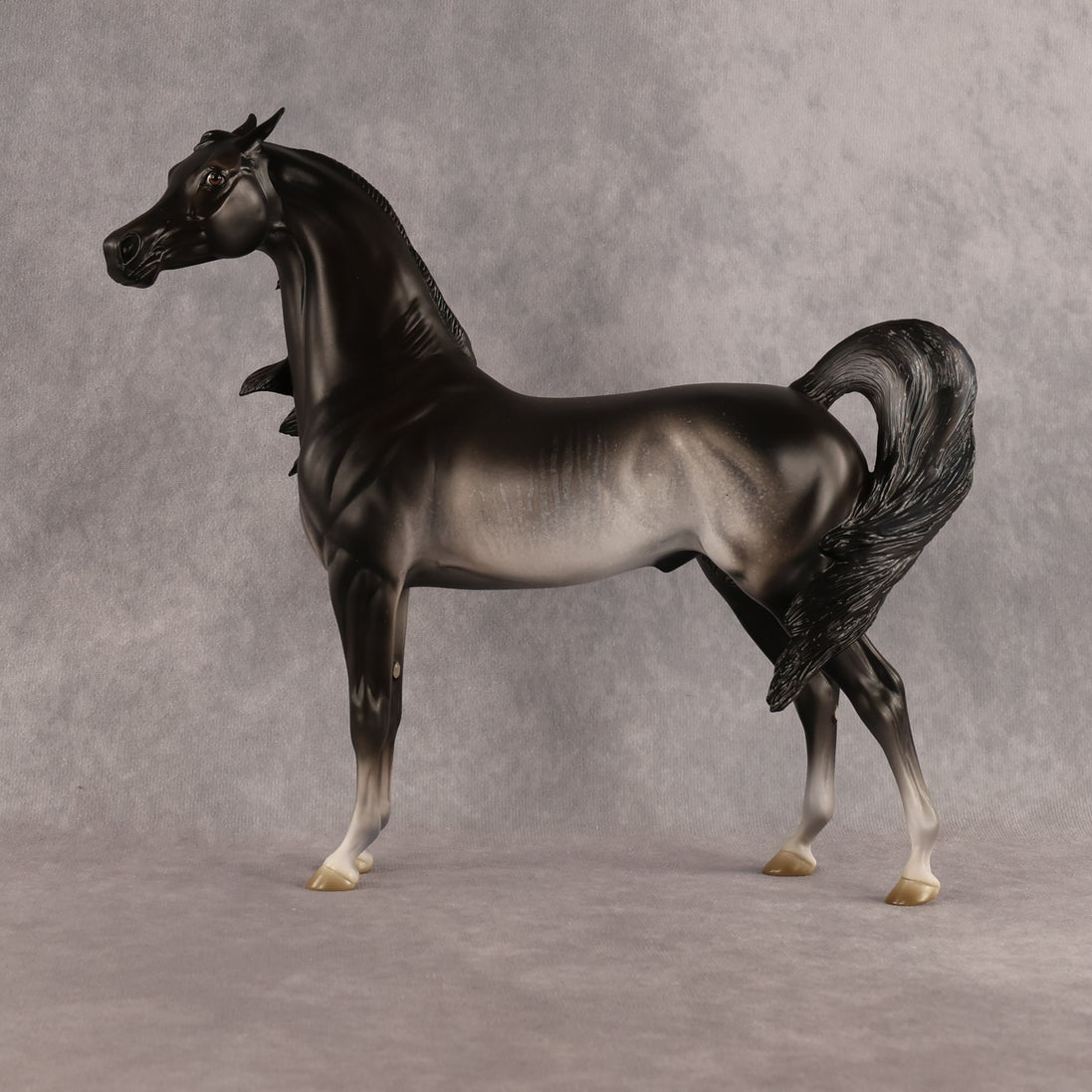 Preview: Tim LE-15 FCM Arabian Stallion by Jess Hamill MM26