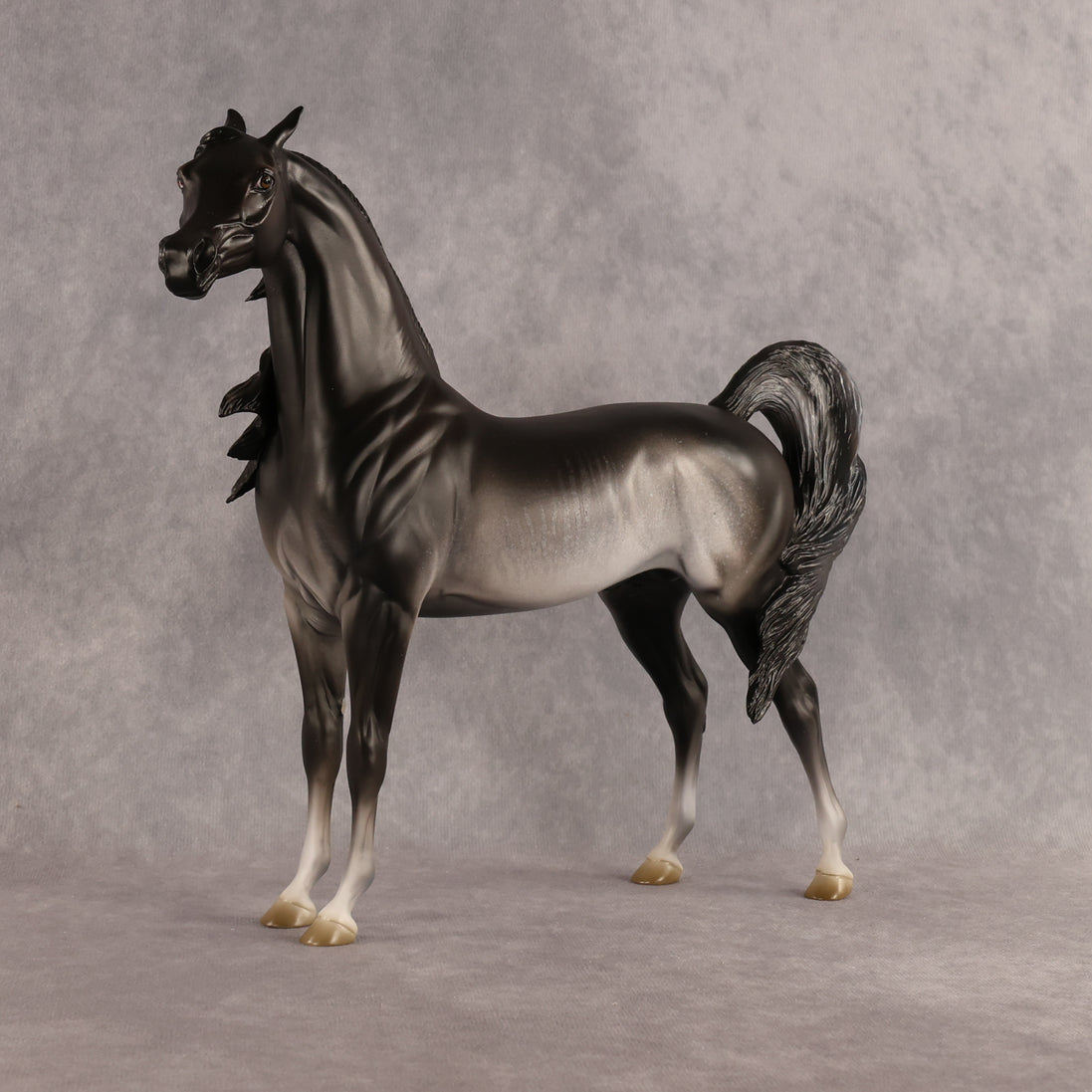 Preview: Tim LE-15 FCM Arabian Stallion by Jess Hamill MM26