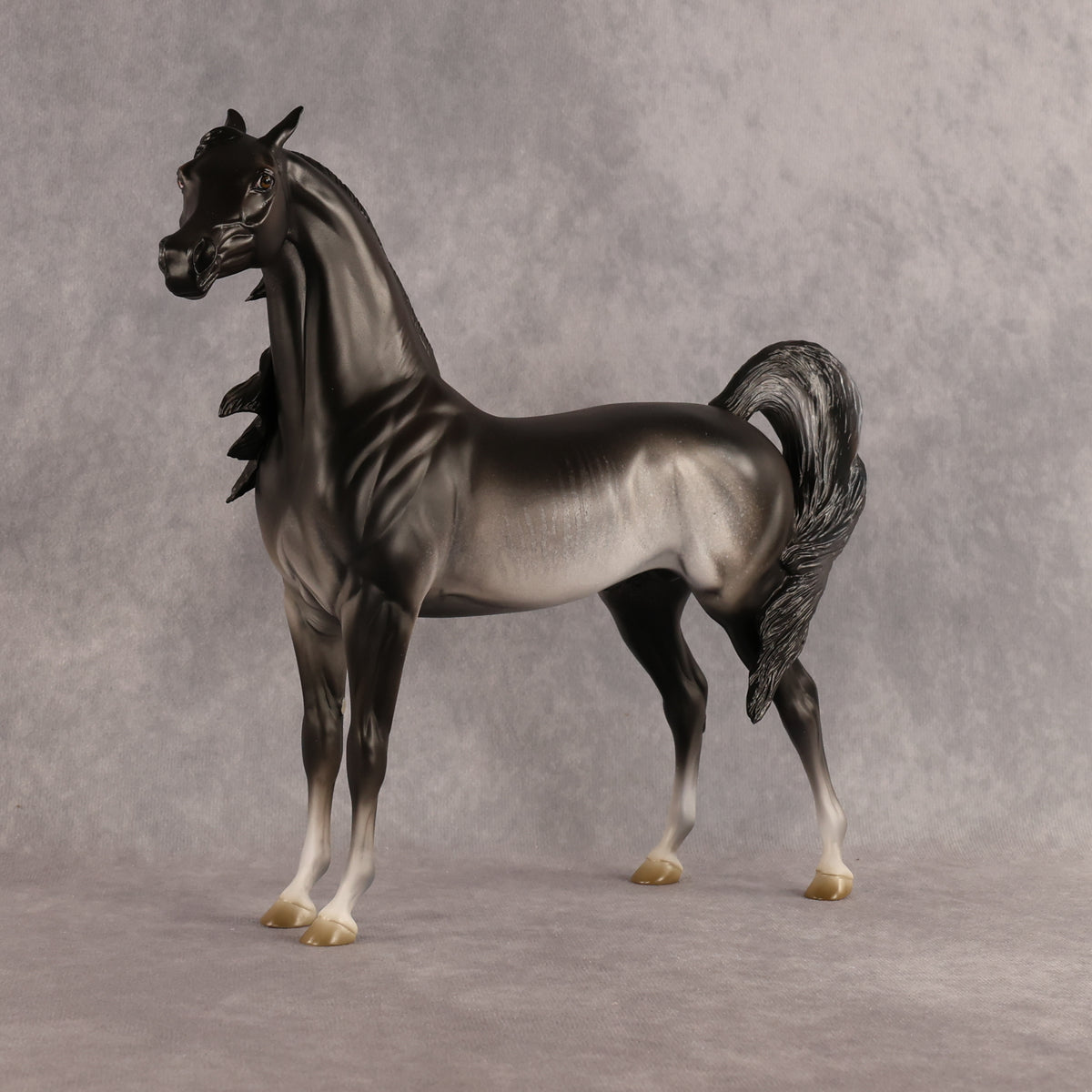 Preview: Tim LE-15 FCM Arabian Stallion by Jess Hamill MM26