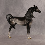 Preview: Tim LE-15 FCM Arabian Stallion by Jess Hamill MM26