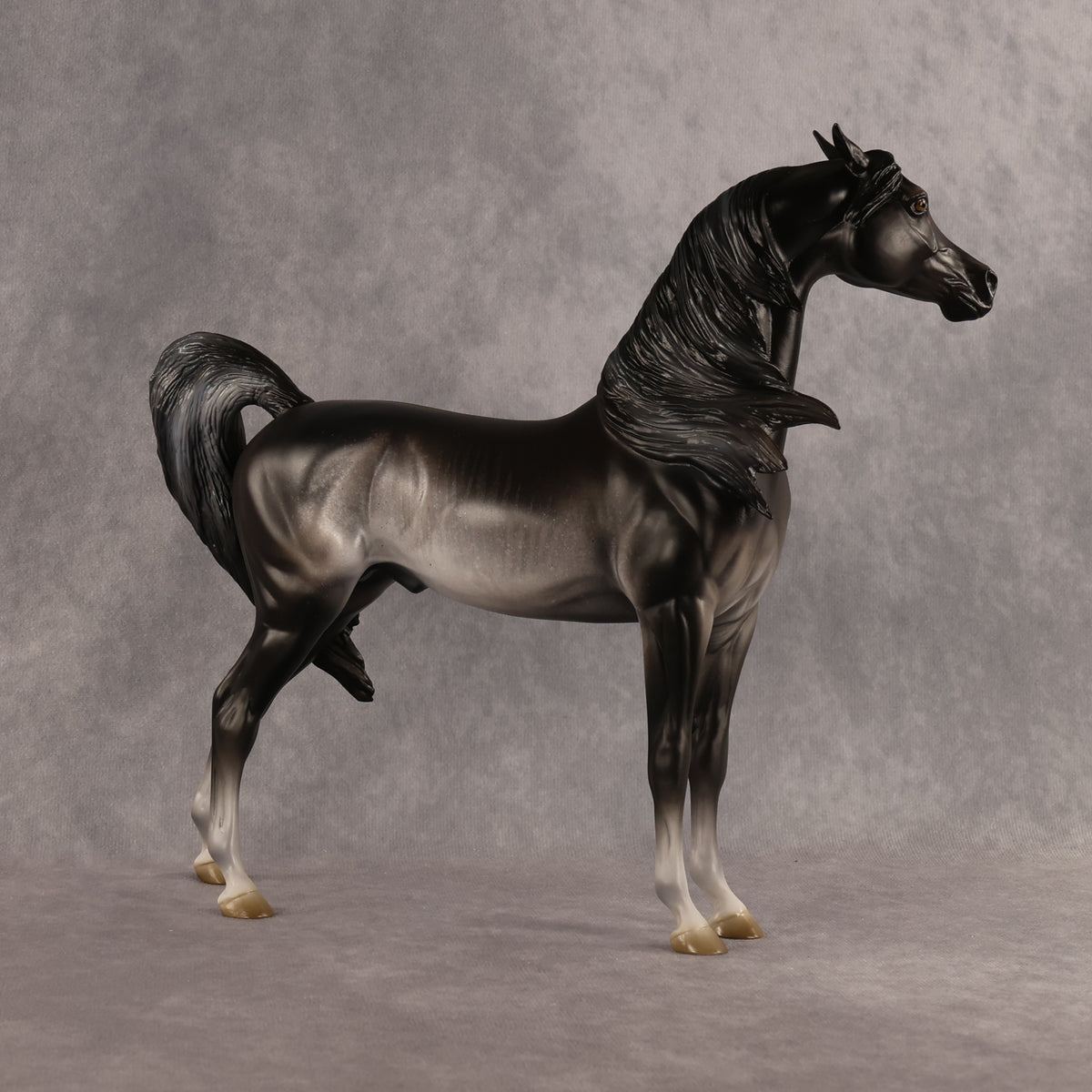 Preview: Tim LE-15 FCM Arabian Stallion by Jess Hamill MM26