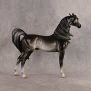 Preview: Tim LE-15 FCM Arabian Stallion by Jess Hamill MM26