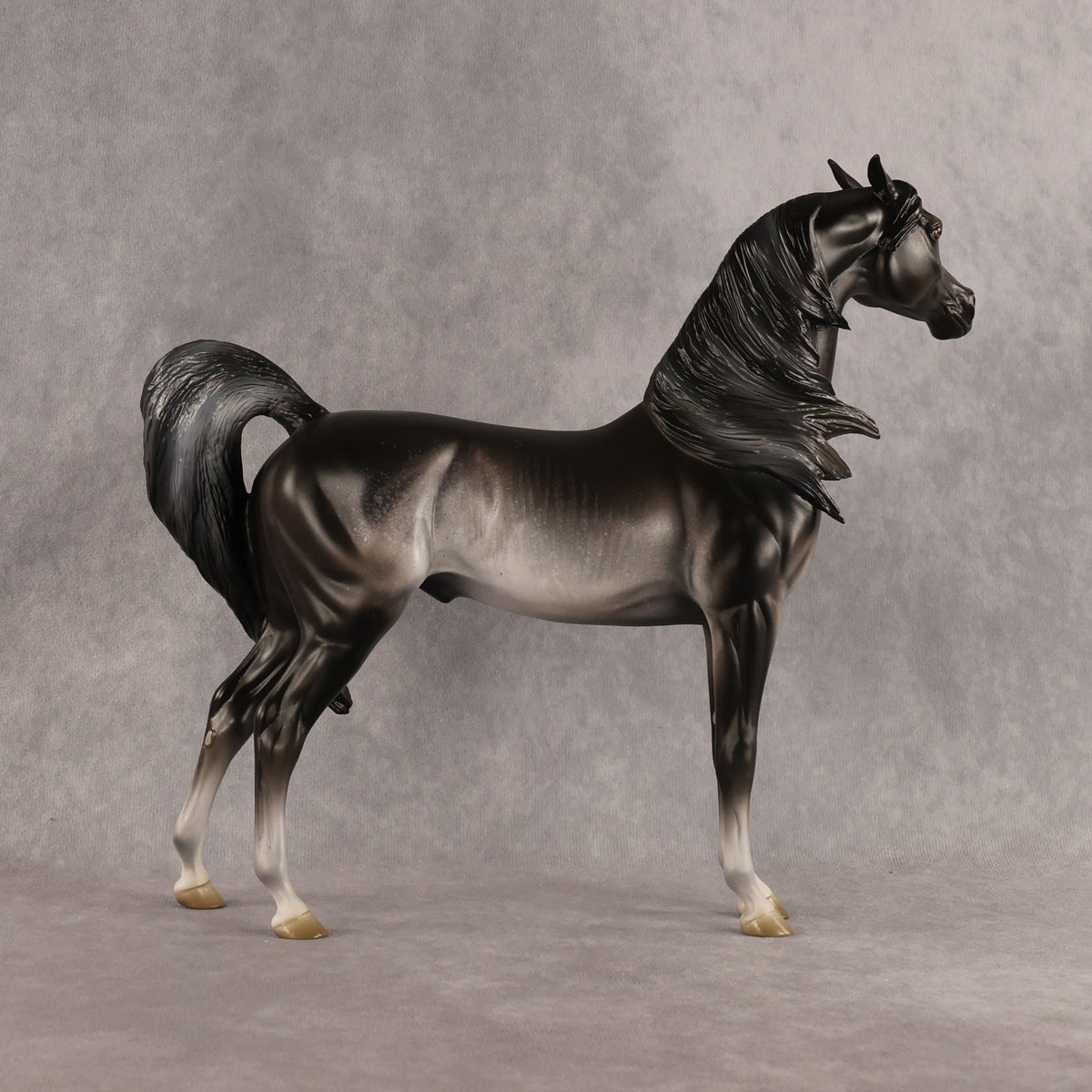 Preview: Tim LE-15 FCM Arabian Stallion by Jess Hamill MM26