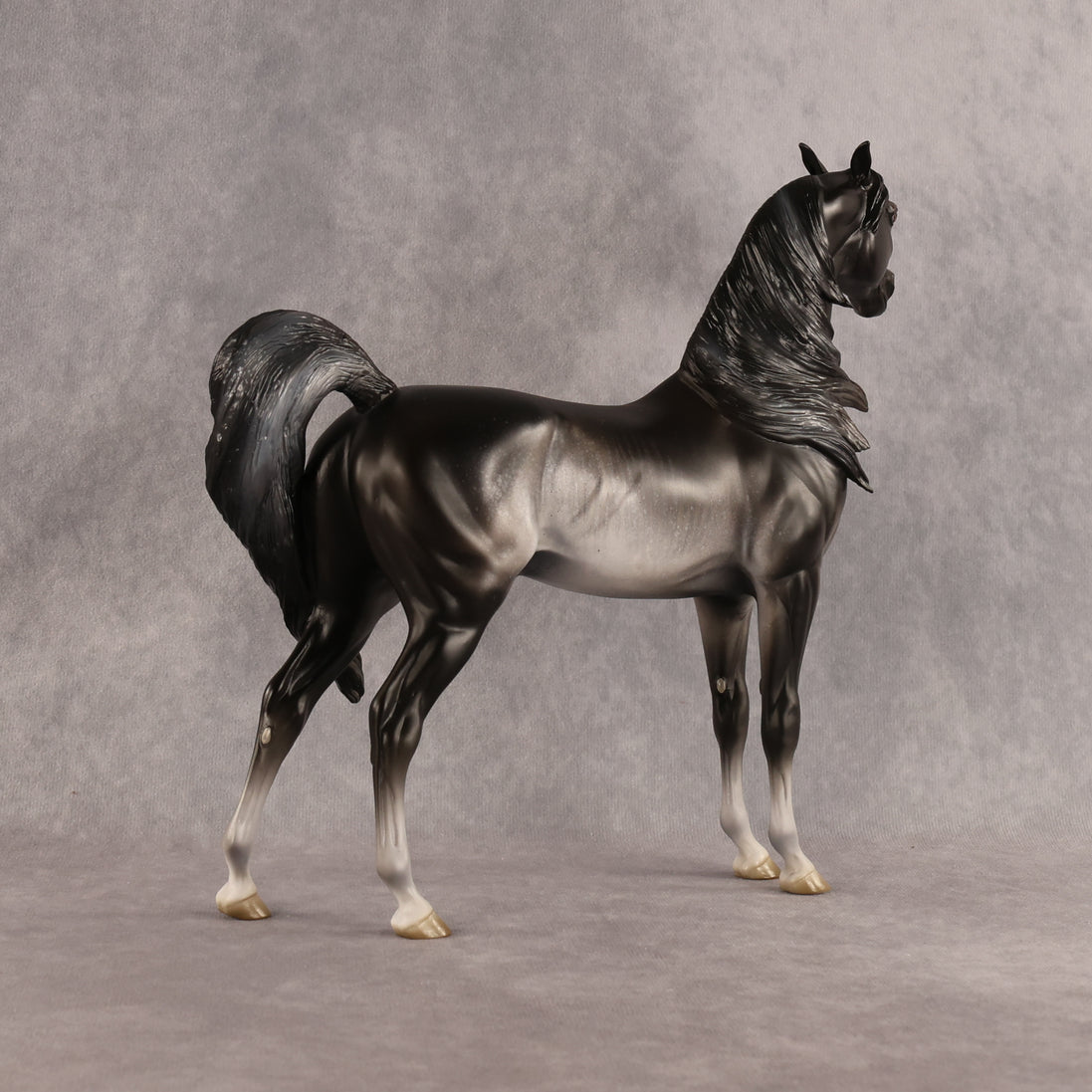 Preview: Tim LE-15 FCM Arabian Stallion by Jess Hamill MM26