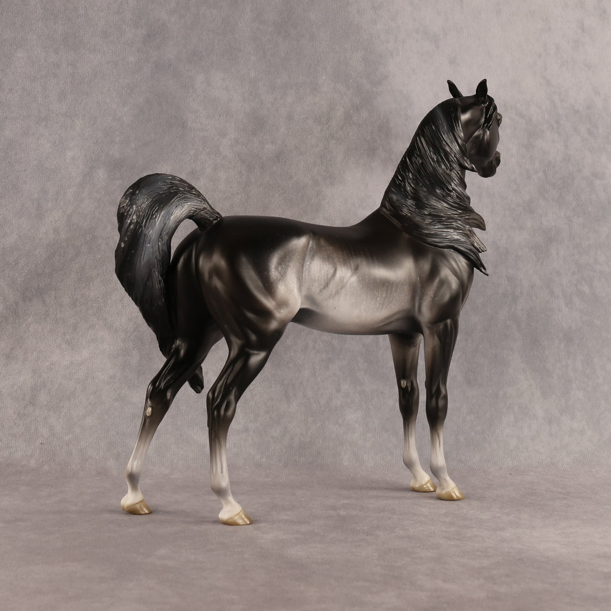 Preview: Tim LE-15 FCM Arabian Stallion by Jess Hamill MM26