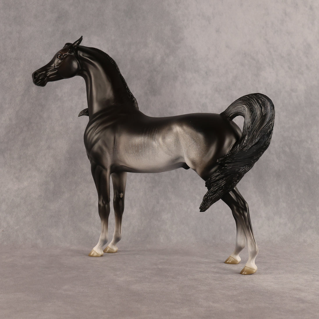 Preview: Tim LE-15 FCM Arabian Stallion by Jess Hamill MM26