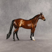Tobin OOAK Ideal Stock Horse by Angela Marleau SHCF26