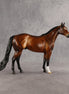 Tobin OOAK Ideal Stock Horse by Angela Marleau SHCF26
