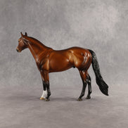 Tobin OOAK Ideal Stock Horse by Angela Marleau SHCF26