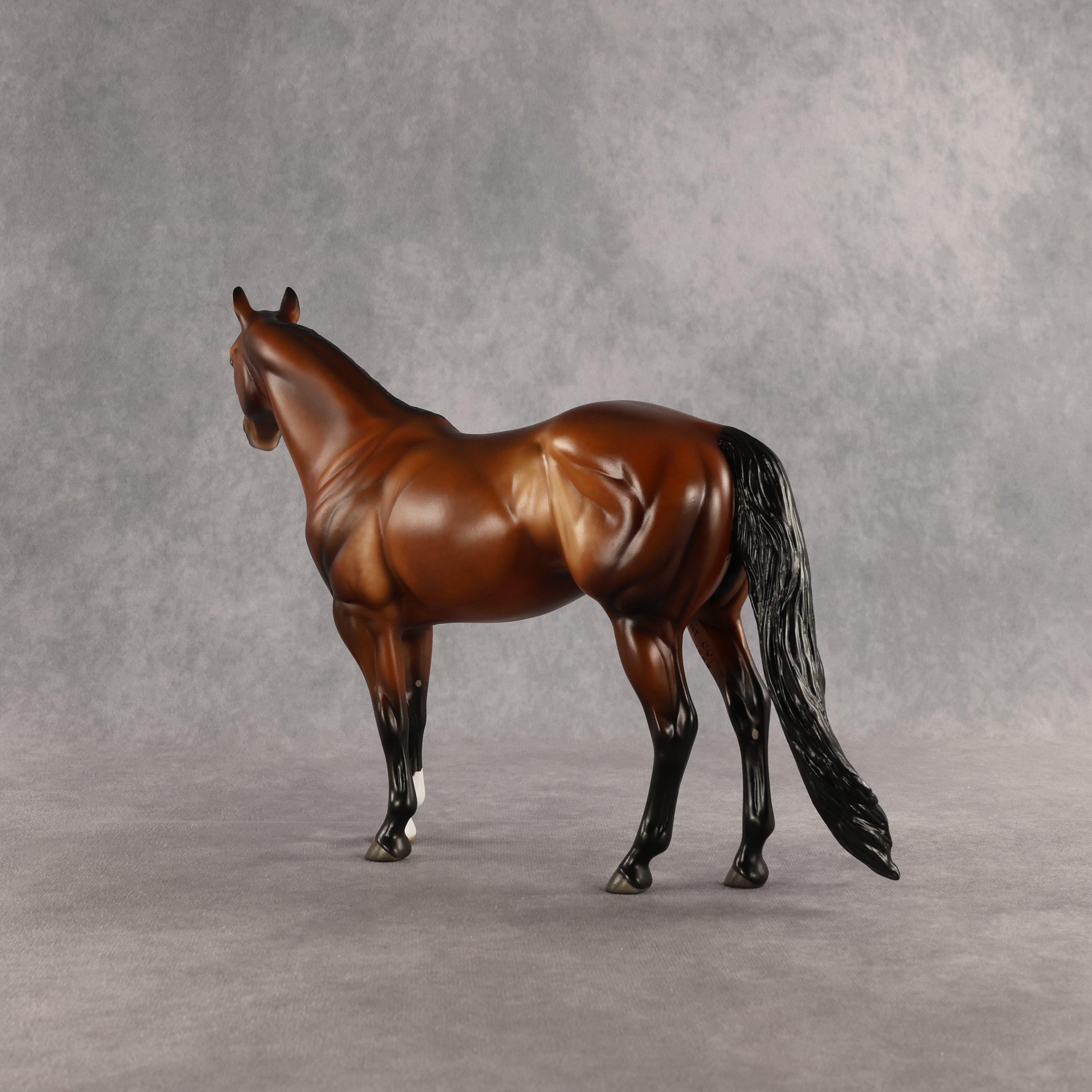 Tobin OOAK Ideal Stock Horse by Angela Marleau SHCF26