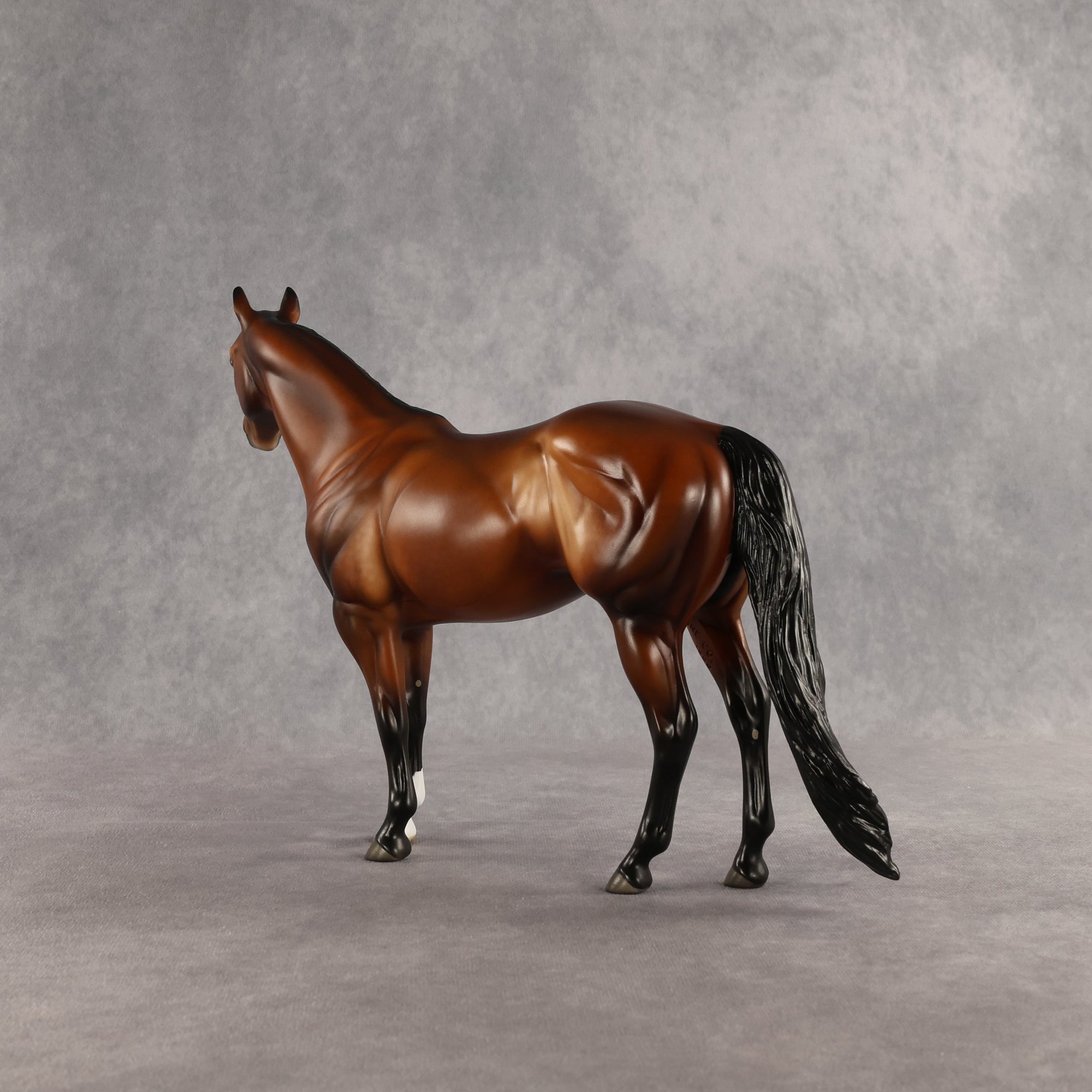 Tobin OOAK Ideal Stock Horse by Angela Marleau SHCF26