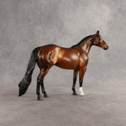 Tobin OOAK Ideal Stock Horse by Angela Marleau SHCF26