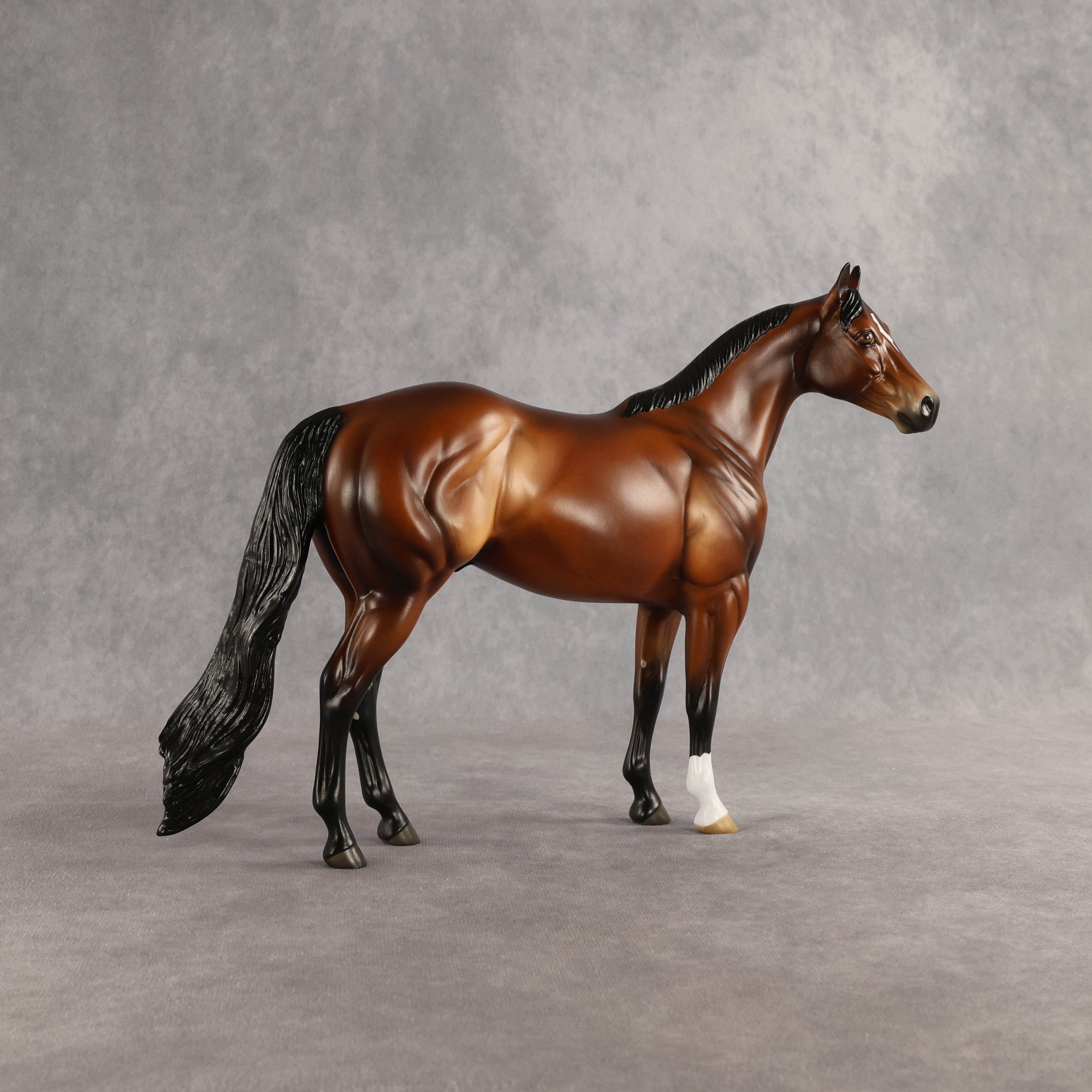 Tobin OOAK Ideal Stock Horse by Angela Marleau SHCF26