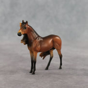 Mini Tonka LE-5 EFCM Chip Andalusian by Carissa Mathews Ro326