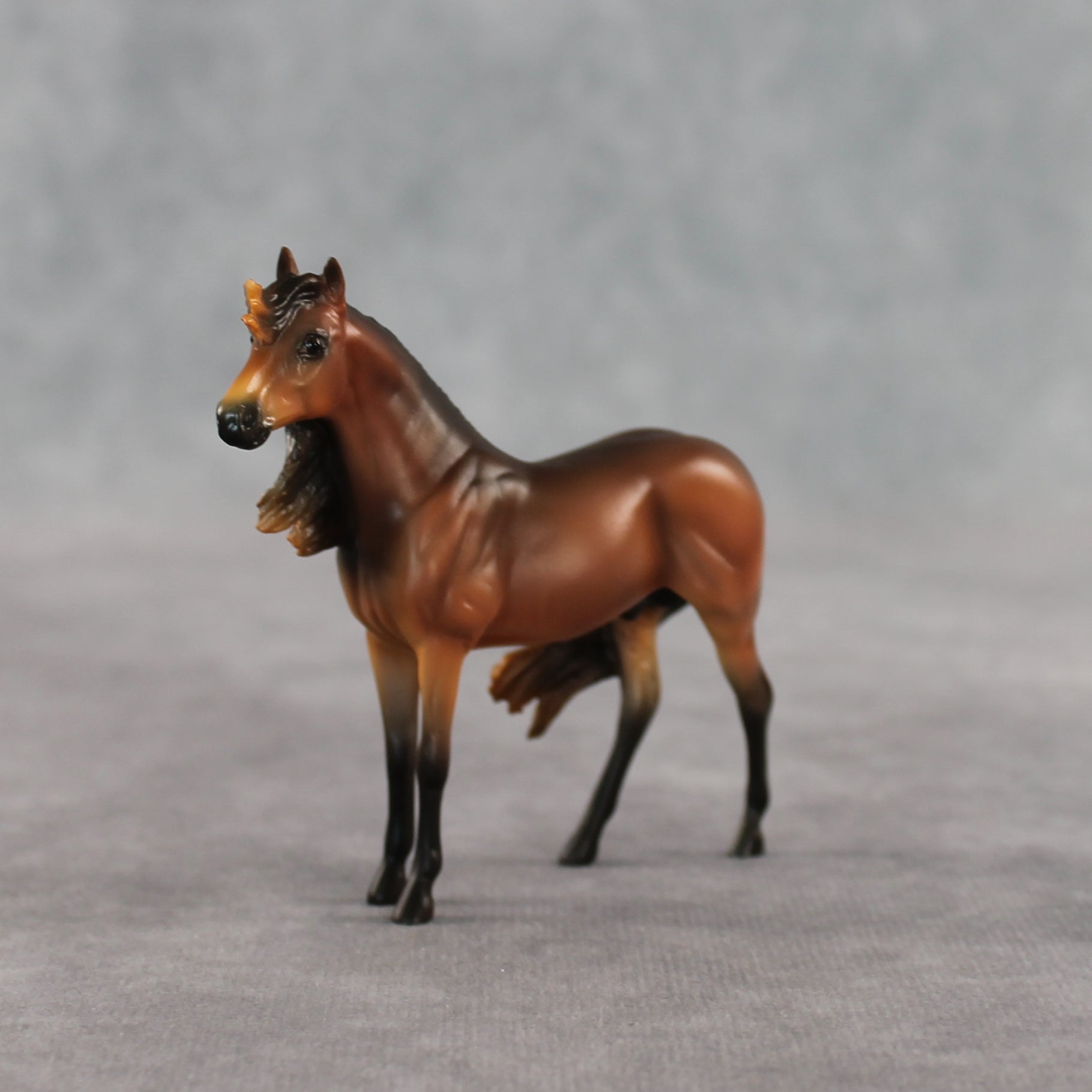 Mini Tonka LE-5 EFCM Chip Andalusian by Carissa Mathews Ro326