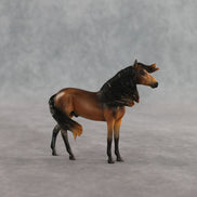 Mini Tonka LE-5 EFCM Chip Andalusian by Carissa Mathews Ro326