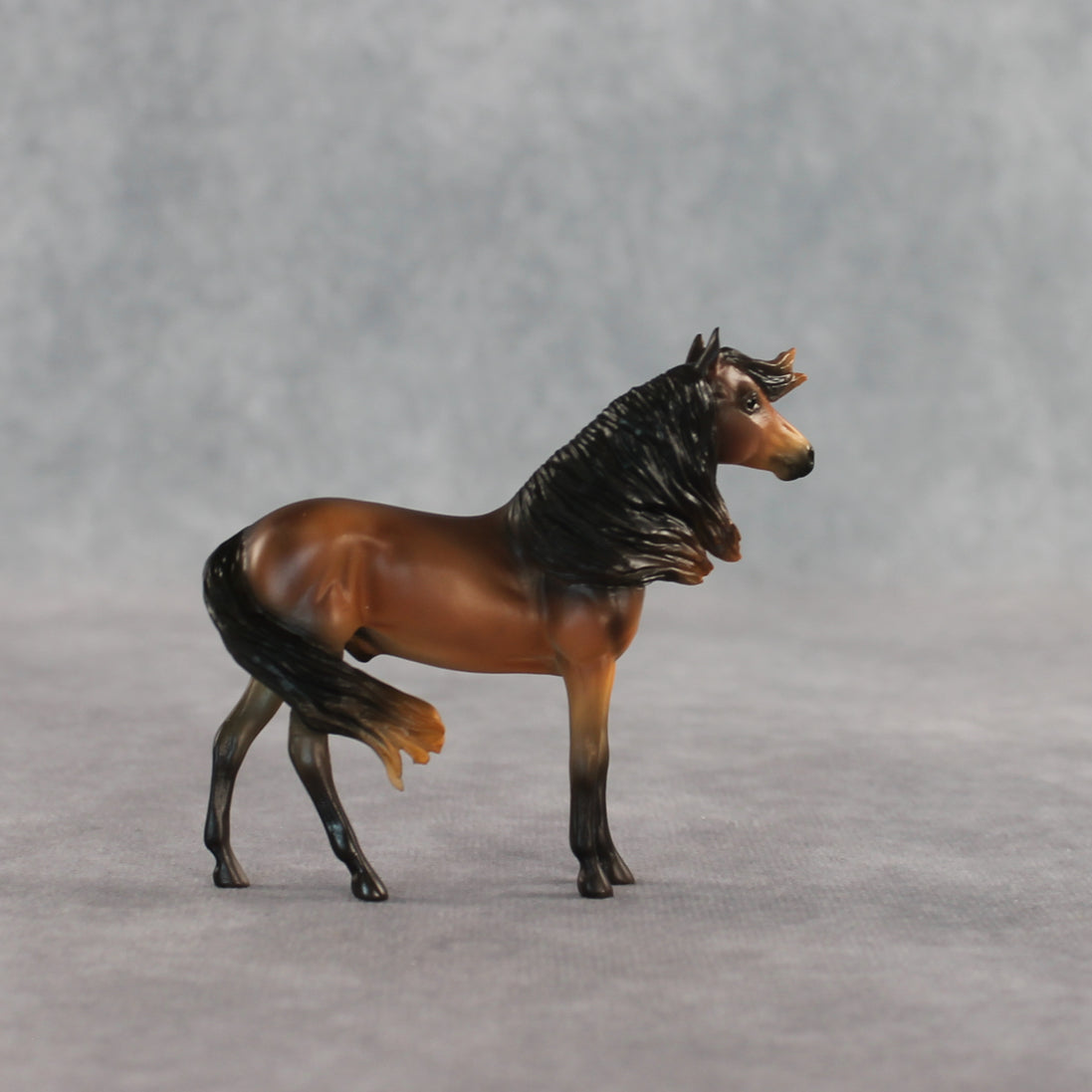 Mini Tonka LE-5 EFCM Chip Andalusian by Carissa Mathews Ro326