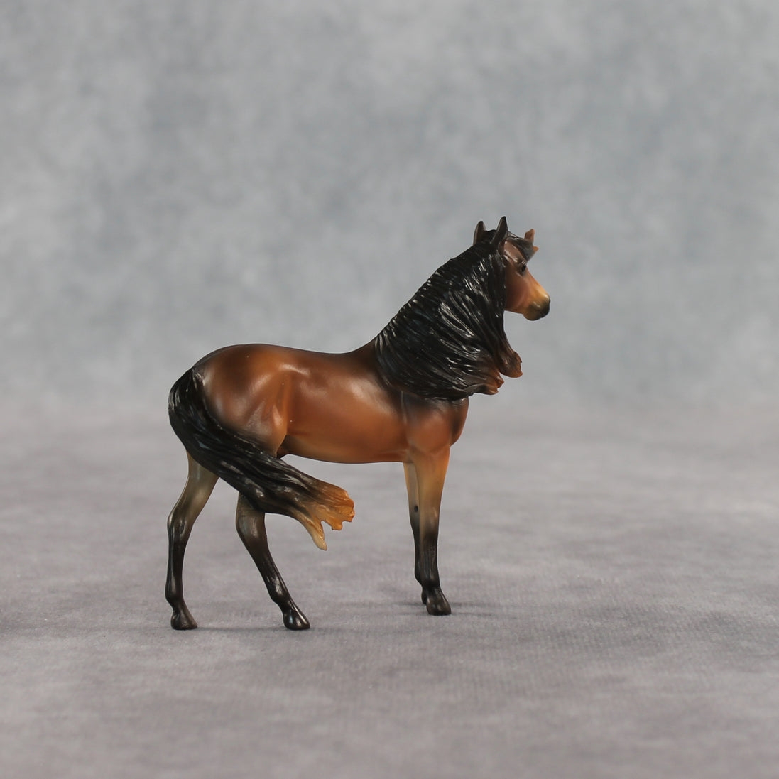 Mini Tonka LE-5 EFCM Chip Andalusian by Carissa Mathews Ro326