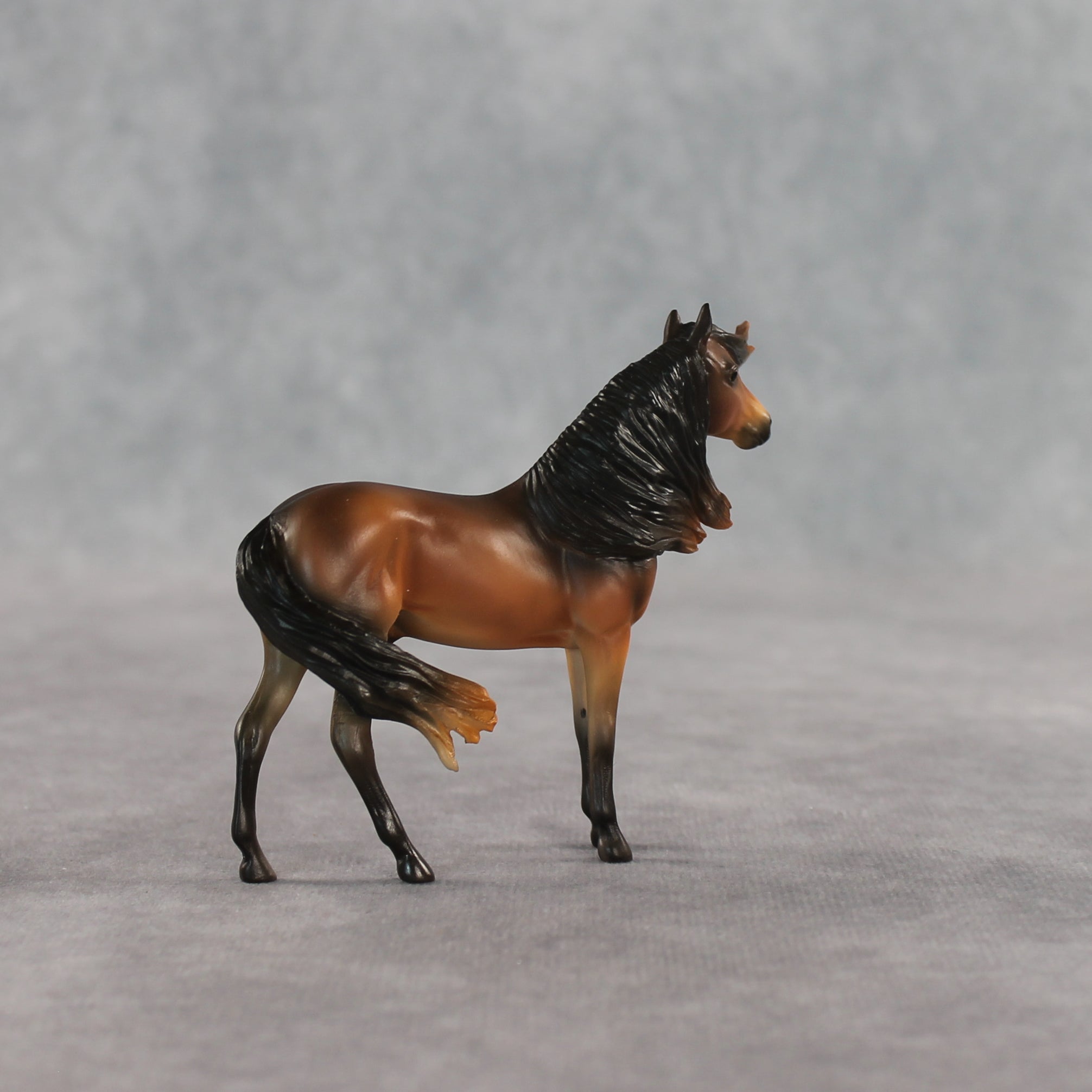 Mini Tonka LE-5 EFCM Chip Andalusian by Carissa Mathews Ro326