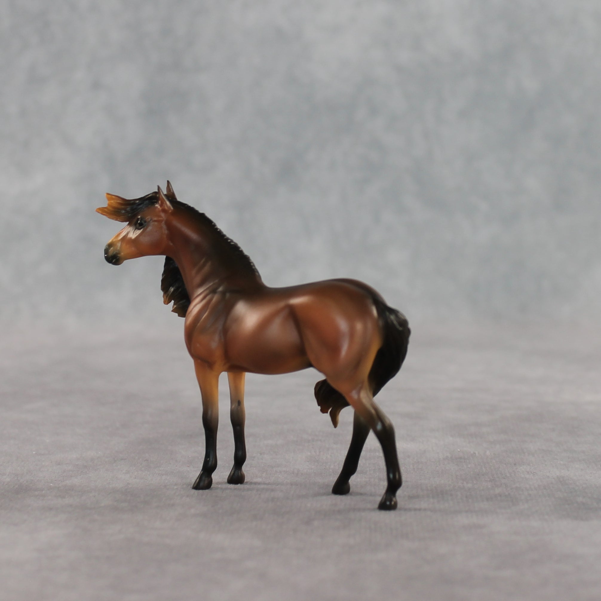 Mini Tonka LE-5 EFCM Chip Andalusian by Carissa Mathews Ro326