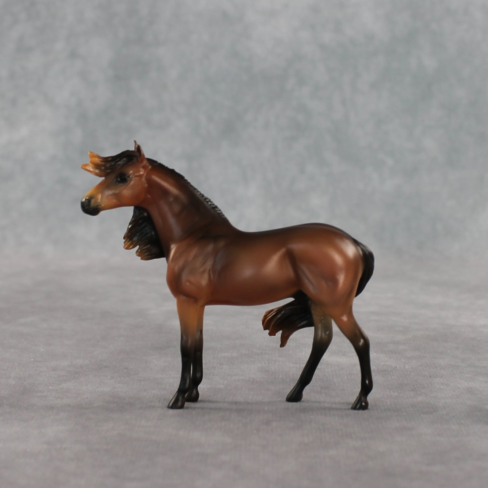 Mini Tonka LE-5 EFCM Chip Andalusian by Carissa Mathews Ro326