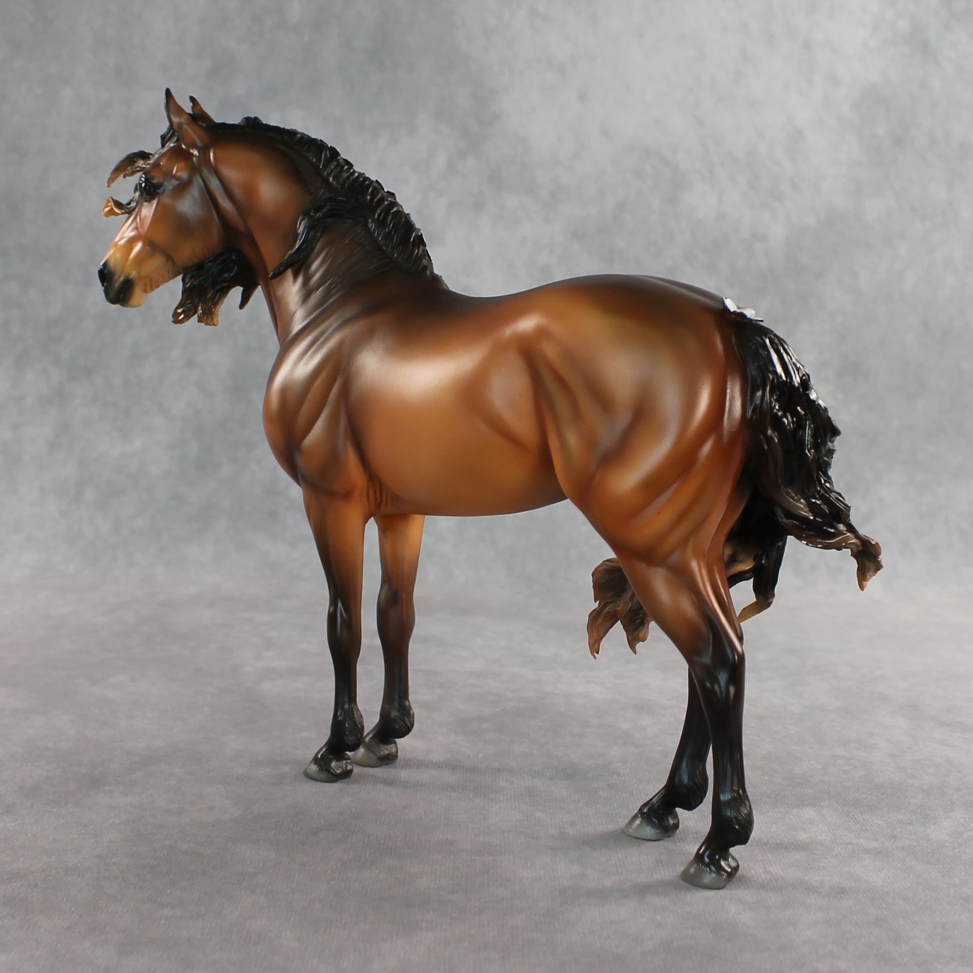 Tonka OOAK EFCM Andalusian by Carissa Matthews Ro326