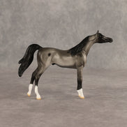 Tonkel OOAK Chip Arabian by Dawn Quick SHCF26