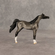 Tonkel OOAK Chip Arabian by Dawn Quick SHCF26