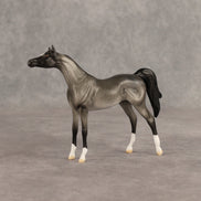Tonkel OOAK Chip Arabian by Dawn Quick SHCF26
