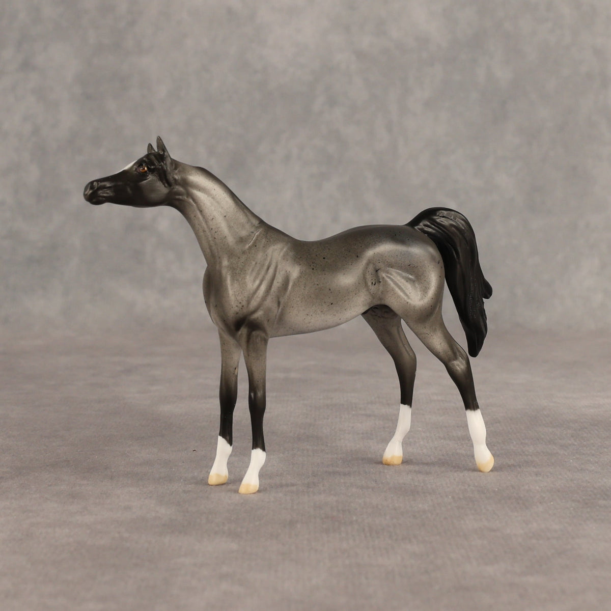 Tonkel OOAK Chip Arabian by Dawn Quick SHCF26