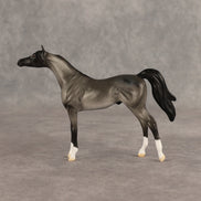 Tonkel OOAK Chip Arabian by Dawn Quick SHCF26