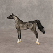 Tonkel OOAK Chip Arabian by Dawn Quick SHCF26