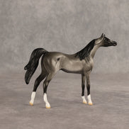 Tonkel OOAK Chip Arabian by Dawn Quick SHCF26