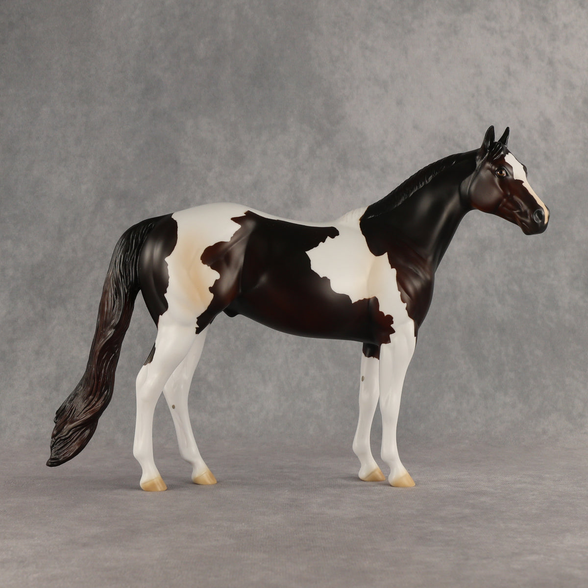 Tracker OOAK Ideal Stock Horse by Anna Rieck DDOOAKs26