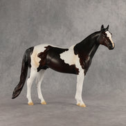 Tracker OOAK Ideal Stock Horse by Anna Rieck DDOOAKs26