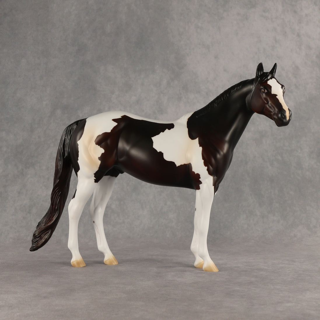 Tracker OOAK Ideal Stock Horse by Anna Rieck DDOOAKs26