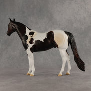 Tracker OOAK Ideal Stock Horse by Anna Rieck DDOOAKs26