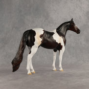 Tracker OOAK Ideal Stock Horse by Anna Rieck DDOOAKs26