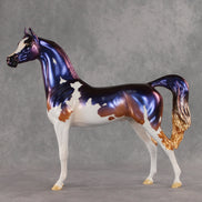 Travvy OOAK Arabian Stallion by Erin Corbett VV26