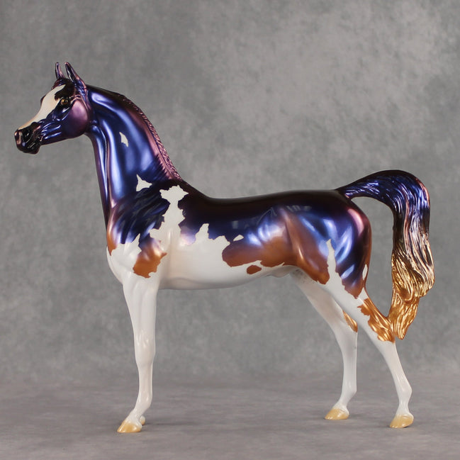 Travvy OOAK Arabian Stallion by Erin Corbett VV26