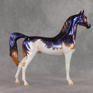 Travvy OOAK Arabian Stallion by Erin Corbett VV26