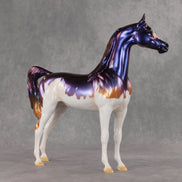 Travvy OOAK Arabian Stallion by Erin Corbett VV26