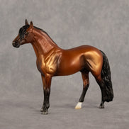 Trevor LE-5 Chip Andalusian by Madi Wiseman September $99 Chips