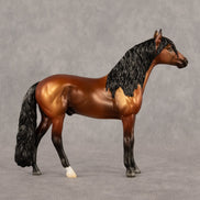 Trevor LE-5 Chip Andalusian by Madi Wiseman September $99 Chips